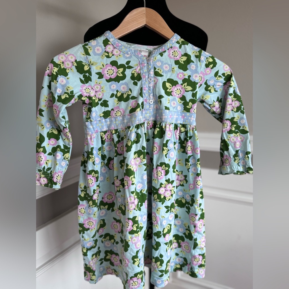Hanna Andersson Size 110 US 5 Floral Aqua Pink and Green Dress